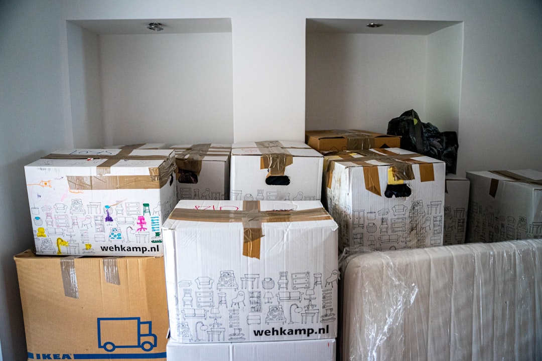 Vaciados completados en Beuda: resultados visibles